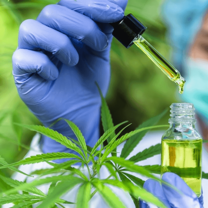 Como Adquirir Canabidiol (CBD) pelo SUS ou Plano de Saúde?
